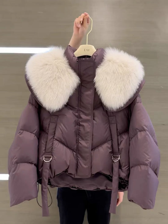 47e68357d33b911294b6a59dddf515e7