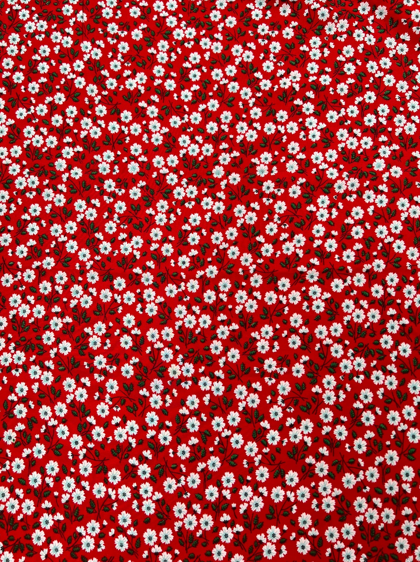 Printed Polyester Print - P-C-385-1